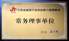江蘇省建筑行業(yè)協(xié)會常務(wù)理事單位